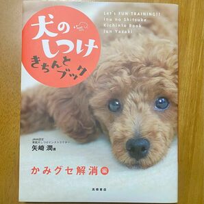 かみグセ解消編 犬のしつけきちんとブック 高橋書店 矢崎潤 著