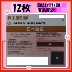 12枚 日本航空 JAL 株主優待券 24*11*30 匿名発送 国内営業全路線の片道1区間ご搭乗時片道運賃（小児の場合は小児運賃）より50%割引の画像1