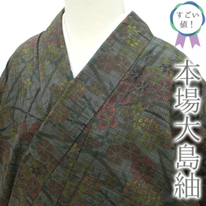 すごい値！本場大島紬 袷 着物 正絹 黒地 緑 薄赤 黄 草花 中古 カジュアル 仕立て上がり 身丈159 裄64 Ｍサイズ みやがわ nek01019