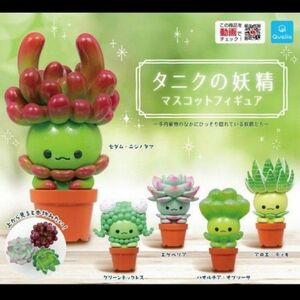 タニクの妖精　マスコットフィギュア　全5種類　新品　多肉植物　ミニフィギュア　ガチャ　カプセルトイ