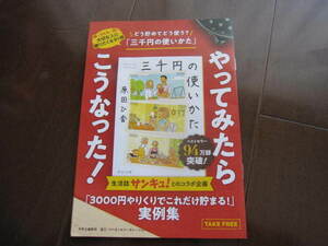 非売品　三千円の使いかた　商品ガイド　3000円やりくりでこれだけ貯まる！実例集　やってみたらこうなった　数量限定　チラシ広告