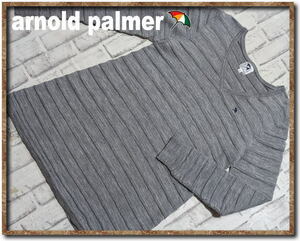 ☆arnold palmer timeless　アーノルドパーマー　刺繍入りVネックニット　グレー☆大きいサイズ