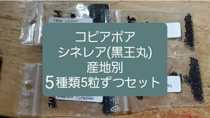 コピアポア　シネレア 黒王丸　5産地 各５粒ずつセット