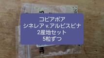 コピアポア　シネレア　v.アルビスピナ　2種類5粒ずつセット_画像1