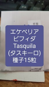 エケベリア ビフィダ, Tasquila 種子15粒