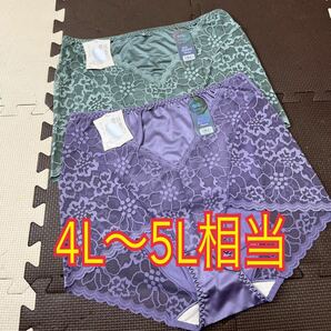 大きいサイズ4L〜5L相当　光沢ツヤエレガントレースショーツ２枚セット