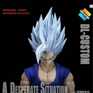 海外限定　s.h.figuarts ドラゴンボール　孫悟飯ビースト