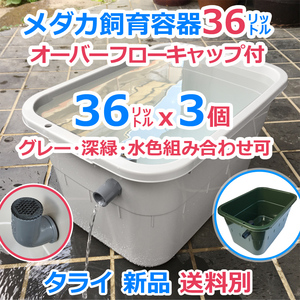 メダカ飼育容器【36㍑ グレー・深緑・水色選択可 3個 オーバーフローキャップ付】送料別 メダカ飼育ケース 金魚 タライ 睡蓮 【五色アクア