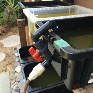 水槽水換えノズル コンパクト型 しっかり掛けて給水速度UP！ 送料込 メダカ飼育ケース 睡蓮鉢 金魚 飼育容器 熱帯魚 水槽【五色アクア】71の画像6