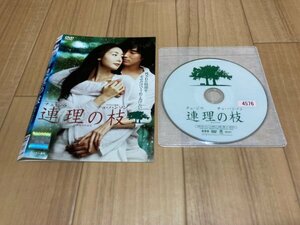 連理の枝　DVD　チェ・ジウ　即決　送料200円　328