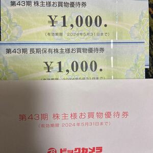 ビックカメラ 株主優待券　2000円分　biccamera