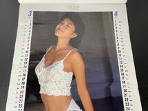 ths★岡本夏生 写真集 1992年カレンダー SPLASH スプラッシュ 約38×53cm 現状保管品★_画像4