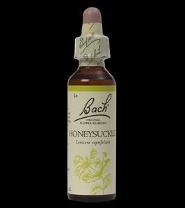 NO16bachi flower honey sakru/// flower essence 