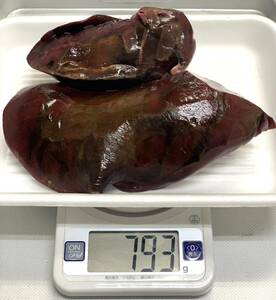 【ジビエ】ツキノワグマ　レバー　肝臓　７９３ｇ　鮮度最高　熊の内臓