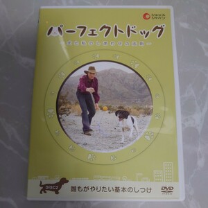 DVD パーフェクトドッグ 犬と私のしあわせの法則 誰もがやりたい基本のしつけ DISC 2 中古品1788