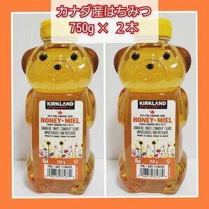 【ベアー はちみつ　2本 × 750g】カナダ産　コストコ　カークランド　ハチミツ　蜂蜜　ハニーベアー　ジャグ