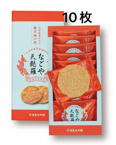 なごや天麩羅　10枚入（坂角総本舖）