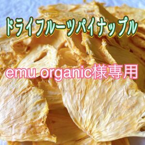 【emu organic様専用】ドライフルーツパイナップル15g×3袋