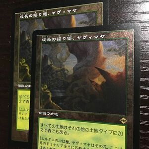 エッチングFoil 成長の揺り篭、ヤヴィマヤ 2枚 旧枠 日本語 MTG