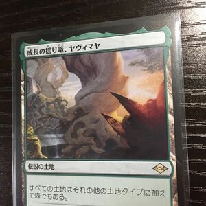 成長の揺り篭、ヤヴィマヤ 日本語 1枚 MTG