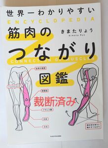 【裁断済み】世界一わかりやすい筋肉のつながり図鑑 きまたりょう／著