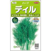 ディル イノンド 種100粒（ハーブ）花の種_画像1