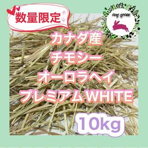 カナダ産チモシーオーロラヘイプレミアムWHITE 10kg 圧縮　無選別