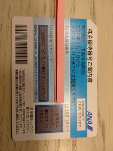 【迅速コード通知のみ】ANA全日空 株主優待券 発行用コード通知　番号通知のみ パスワード 通知　有効期限:2024年5月31日まで②