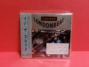 LONDONBEAT(ロンドンビート)「IN THE BLOOD(イン・ザ・ブラッド)」未開封