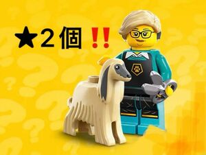 LEGO（レゴ）ミニフィギュアシリーズ25 ミニフィグ