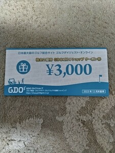 GDO 株主優待　ゴルフショップクーポン3000円分