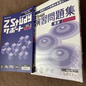 Z会 Zスタディサポート 国語 3冊セット 中高一貫