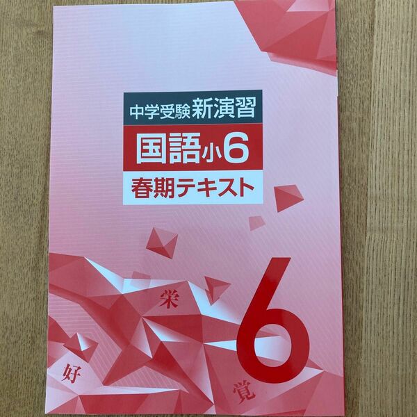 最新版　中学受験新演習　　春期講習　　テキスト　小6 国語