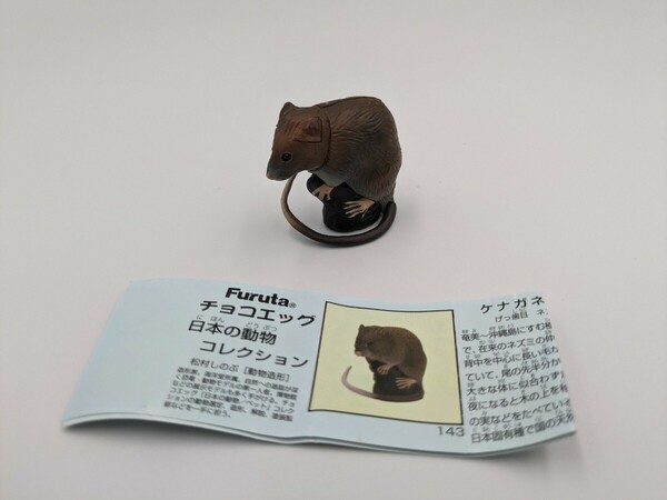 日本の動物　コレクション　チョコエッグ　ケナガネズミ　フィギュア