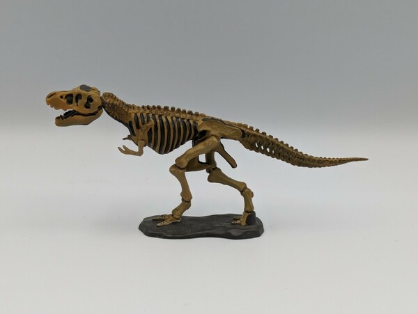 チョコラザウルス 恐竜・古代生物 フィギュアコレクション DINOTALES 第1シリーズ 002.ティラノサウルス(骨格)