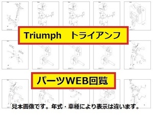 1994 Triumph Speed Triple 885 список запасных частей (WEB версия )