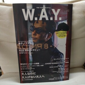 W.A.Y 雑誌 金子ノブアキ RIZE 2018年1月発行