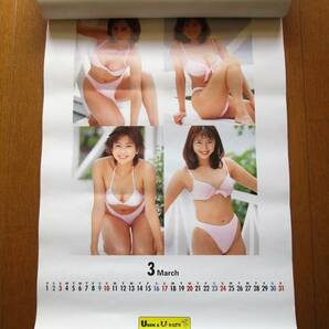 【カレンダー】 1996年シェイプアップガールズ（三瀬真美子、今井恵理、梶原真弓、中島史恵） 表紙含め13枚 企業名入りの画像5