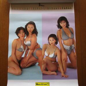 【カレンダー】 1996年シェイプアップガールズ（三瀬真美子、今井恵理、梶原真弓、中島史恵） 表紙含め13枚 企業名入りの画像7