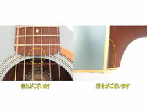 ■Fender/フェンダー■エレキアコースティックギター■エレアコ■NEWPORTER　player■現状■_画像2