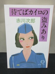 赤川次郎 小説 読書 文庫 徳間文庫 待てばカイロの盗みあり 表題作 泥棒 刑事 連続怪奇殺人