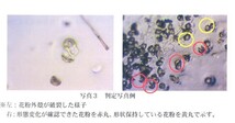 花粉症にこれ1本！　花粉・アレルギー・抗ウイルス・抗菌・消臭 に【特許取得成分配合】何にでも使える『花粉やっつけ隊』送料無料_画像3