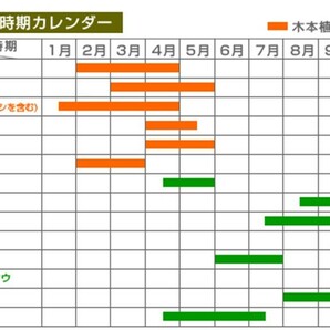 5本 セット花粉症にこれ1本！ 花粉・アレルギー・抗ウイルス・抗菌・消臭 に【特許取得成分配合】何にでも使える『花粉やっつけ隊』の画像2