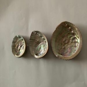 アワビの貝殻　鮑　浄化皿　アバロンシェル　ハンドクラフト用　３個