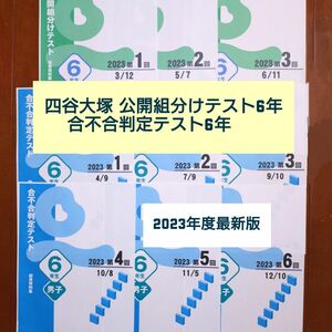 【2023年度最新版】四谷大塚公開組分けテスト6年生＋合不合判定テスト6年生（男子）