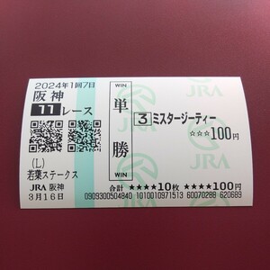 即決！　ミスタージーティー　若葉ステークス　阪神競馬場　現地的中単勝馬券　