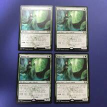 MTG/培養ドルイド/Incubation Druid/日本語/4枚_画像1