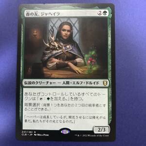 MTG/森の友、ジャヘイラ/Jaheira, Friend of the Forest/日本語/1枚