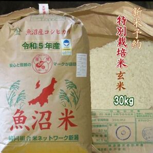 1等特別栽培米・令和5年産　小分け　玄米　魚沼コシヒカリ(十日町市松之山地区)30kg（10k×3）精米無料★農家直送　色彩選別済