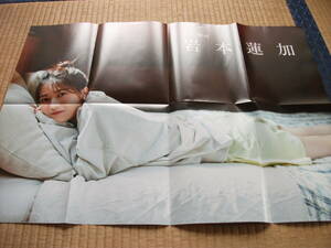  Nogizaka 46 скала книга@ лотос . постер 